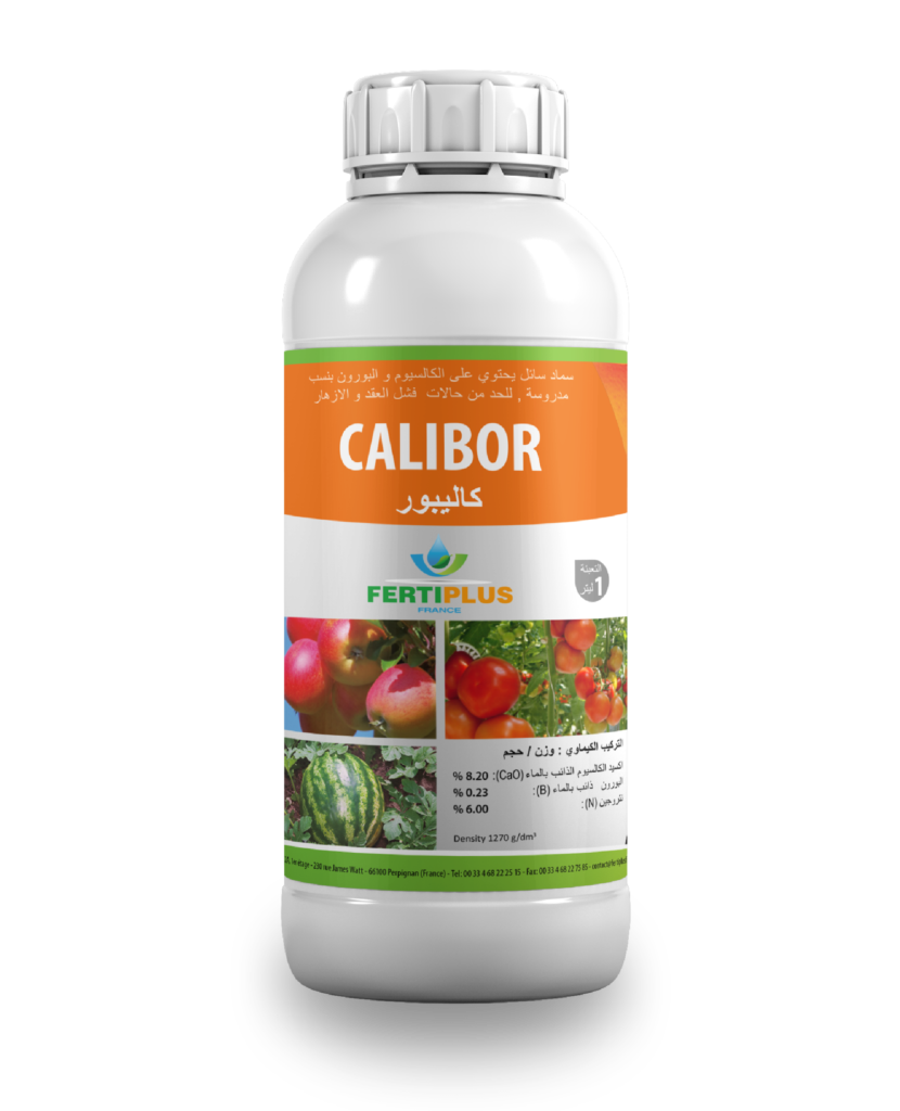 CALIBOR – field-ex